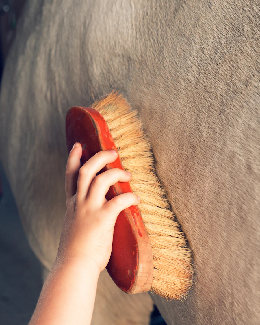 Een kinderhand borstelt de vacht van een paard